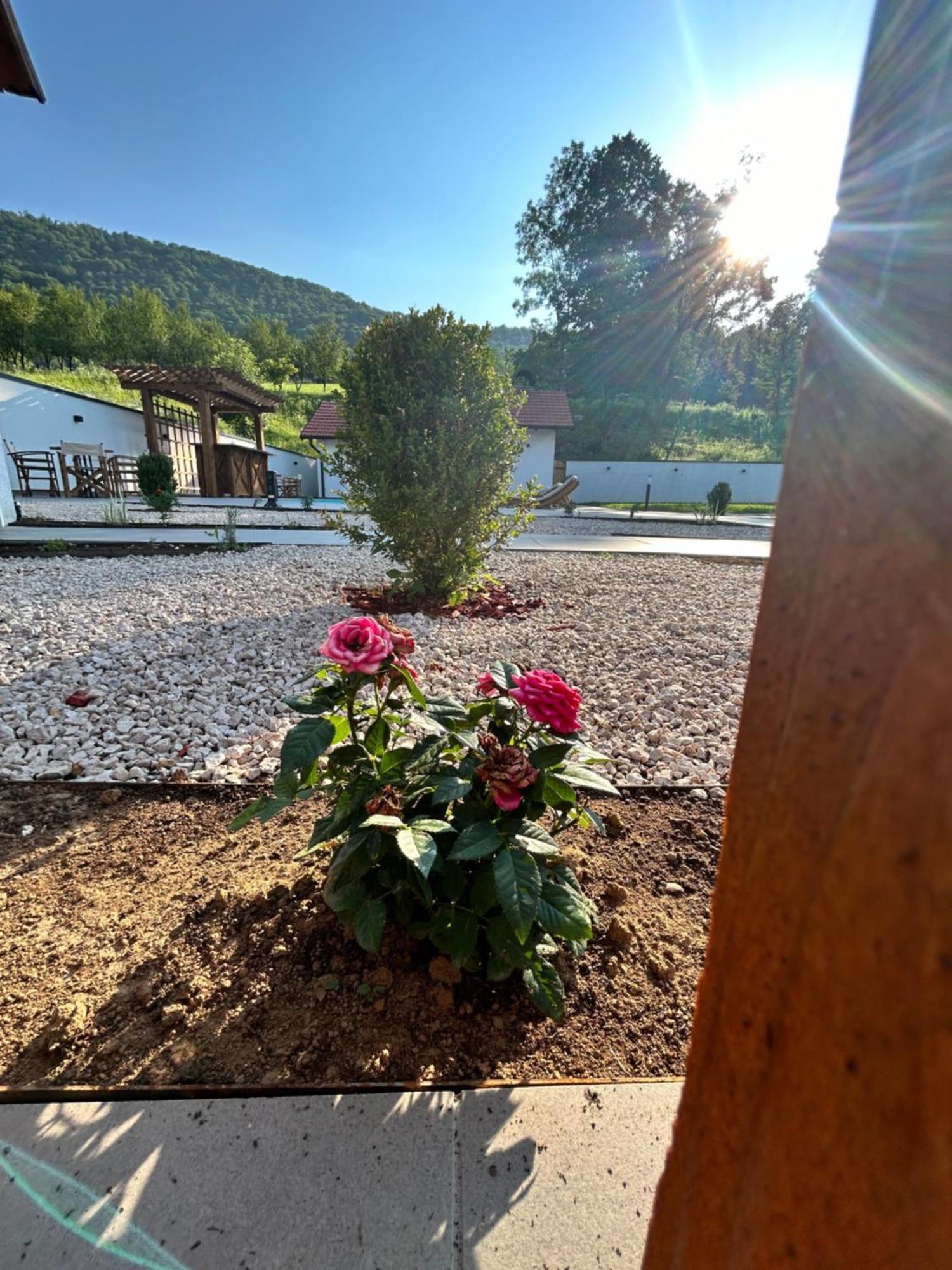 Romantic Lodge بانيا لوكا المظهر الخارجي الصورة